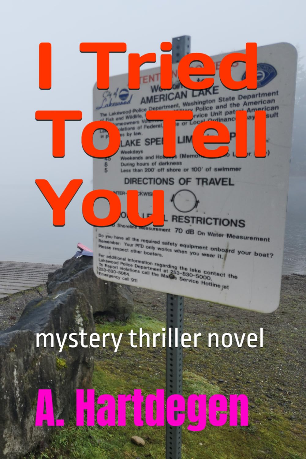 I Tried To Tell You: mystery thriller novel