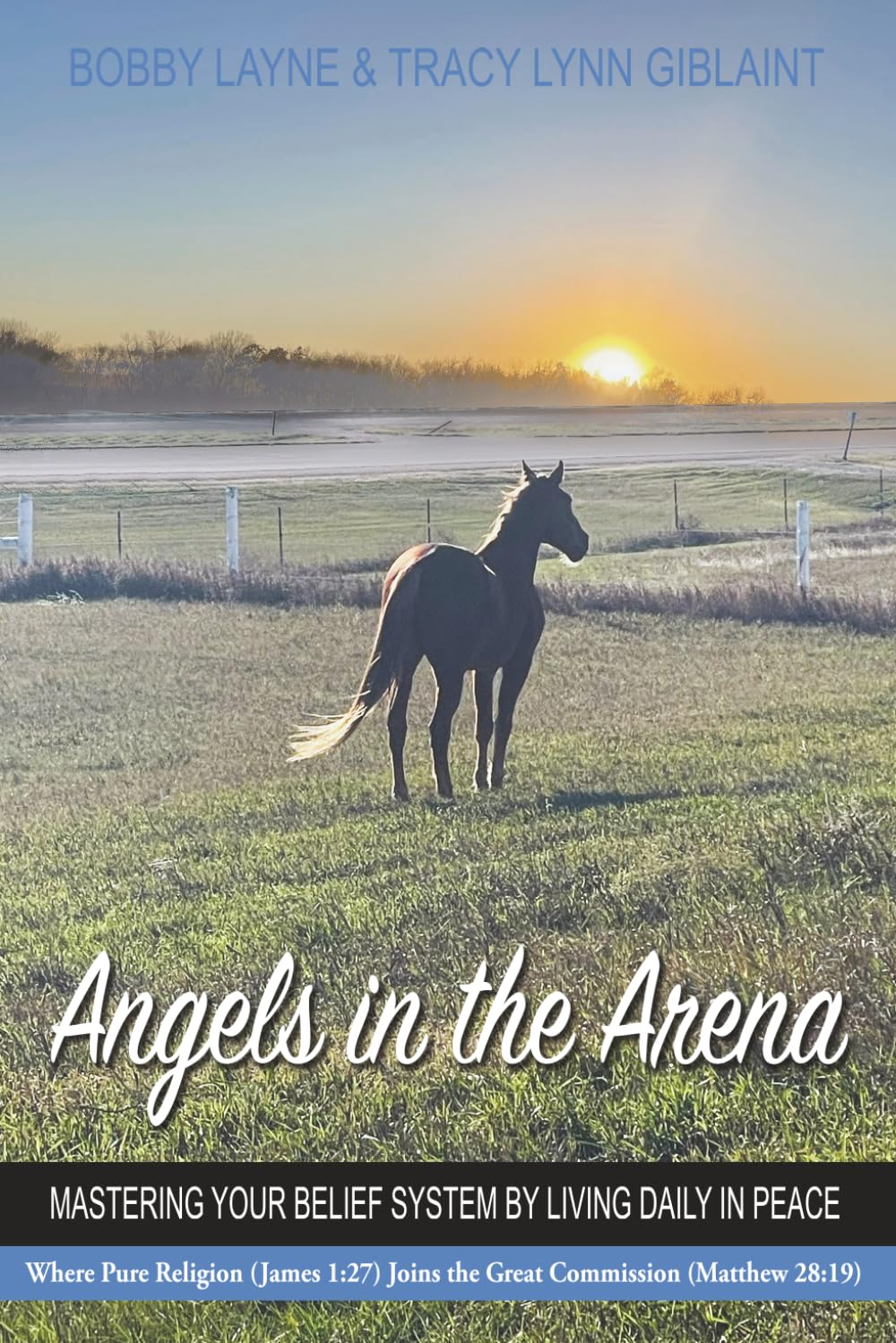 Angels in the Arena: Mastering Your Belief System By Living Daily In Peace      Paperback – February 11, 2025