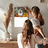 Vista 914 de Razas de Perros 2017