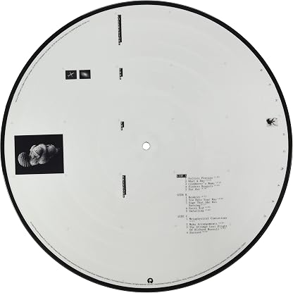 Collections From The Whiteout - Limited Picture Disc por Ben Howard, capa do álbum