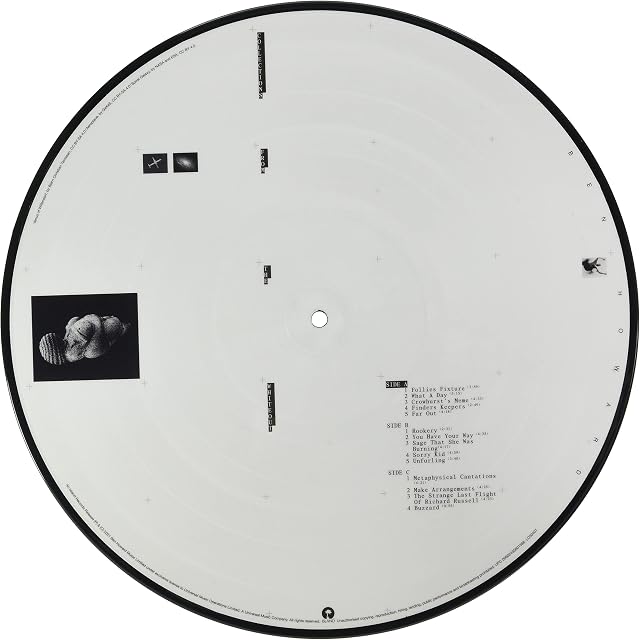 Collections From The Whiteout (Picture Disc) por Ben Howard, capa do álbum
