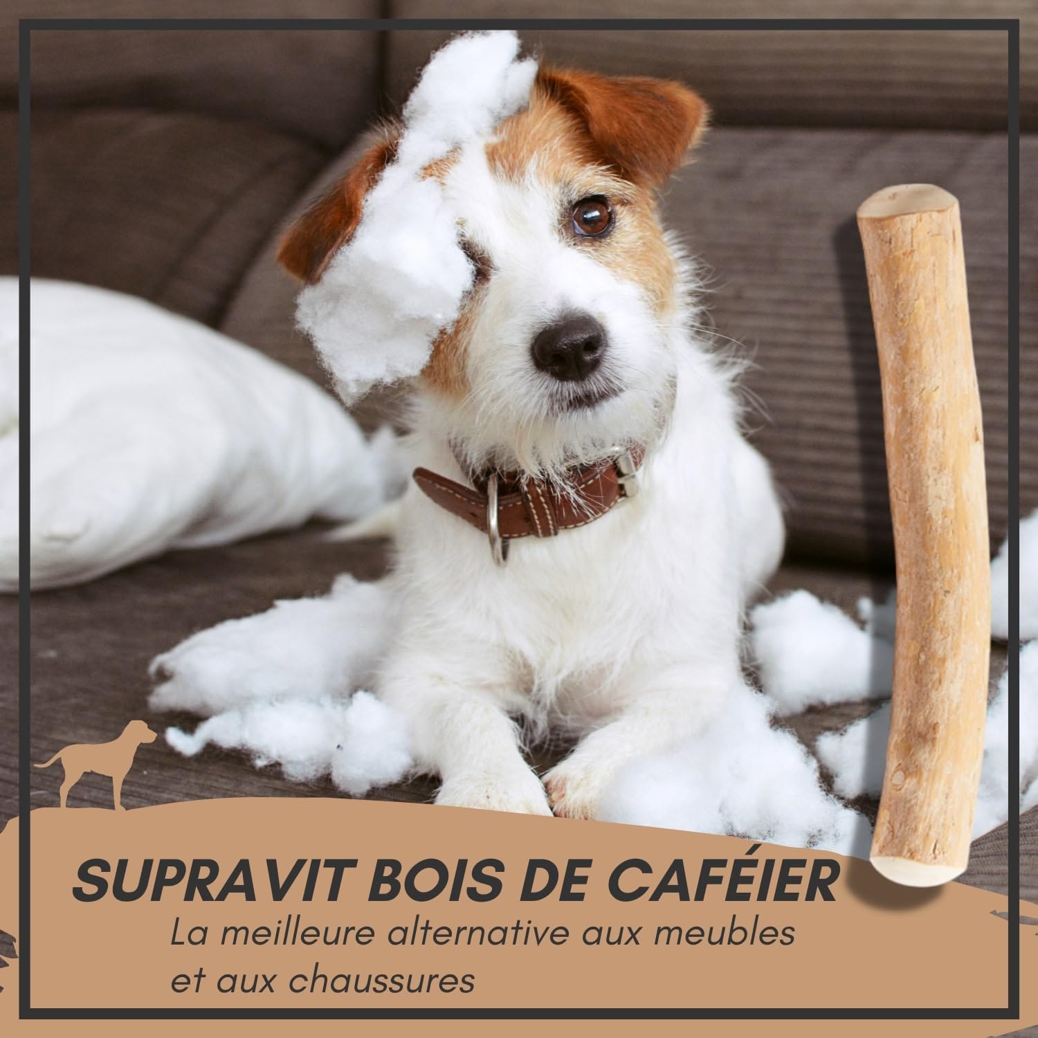 Supravit Os à Naturel en Bois de café pour Chiots XS | Plus qu'un bâton – Jouet à mâcher passionnant pour Chiot & activité Durable | Bâton à mâcher en Bois pour Chiots