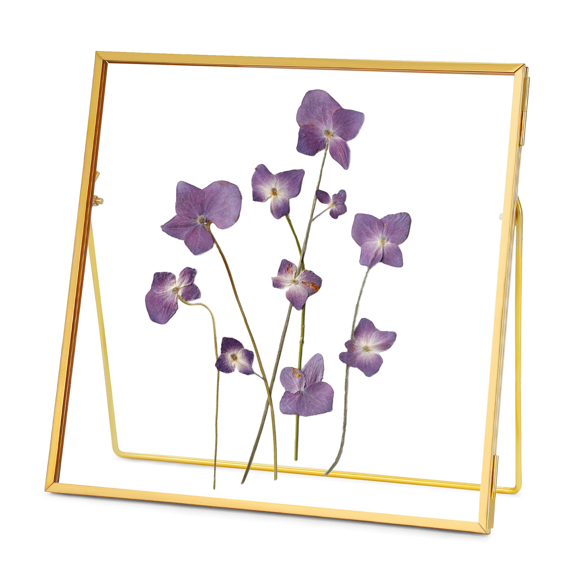 REDHUGO Glasrahmen für gepresste Blumen, handgefertigt, Doppelglasrahmen, Tischrahmen, Blumenpress-Fotorahmen, schlichter Metallrahmen mit geometrischem Design, schwebender Glas-Bilderrahmen | Handgefertigter Tisch-Bilderrahmen für schwebende Bilder und B