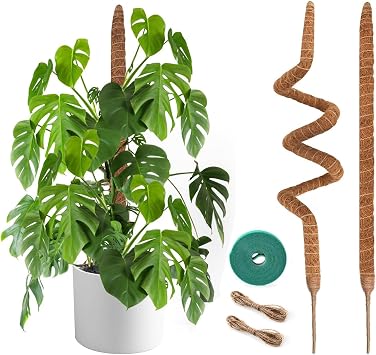 2 Pack Moss Pole 48 Inch Monstera Plant Sticks Support Tall Long Stakes | for Plants Climbing Indoor Large Trellis Bendable DIY Shape Grow Upwards