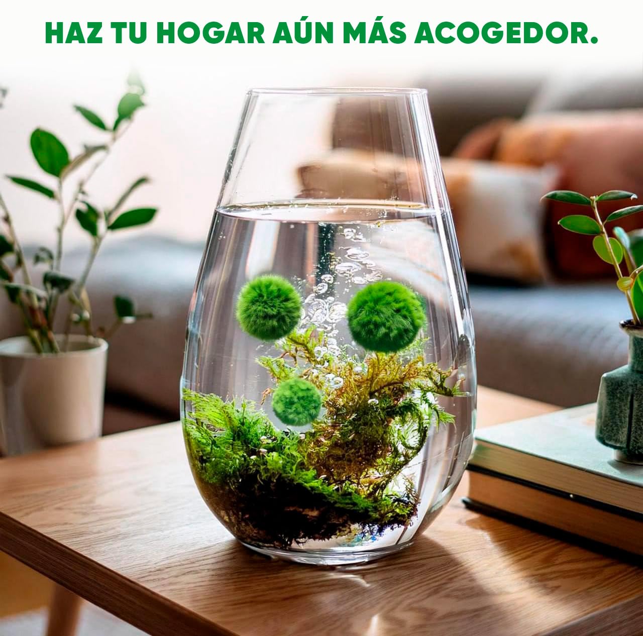 20 + 1 szt. kule mchu akwarium Cladophora aegagropila linneiae mech rośliny akwariowe rośliny wodne dekoracja rośliny prawdziwe marimo piłki mchu akwarium marimo moosball (1-3 cm)