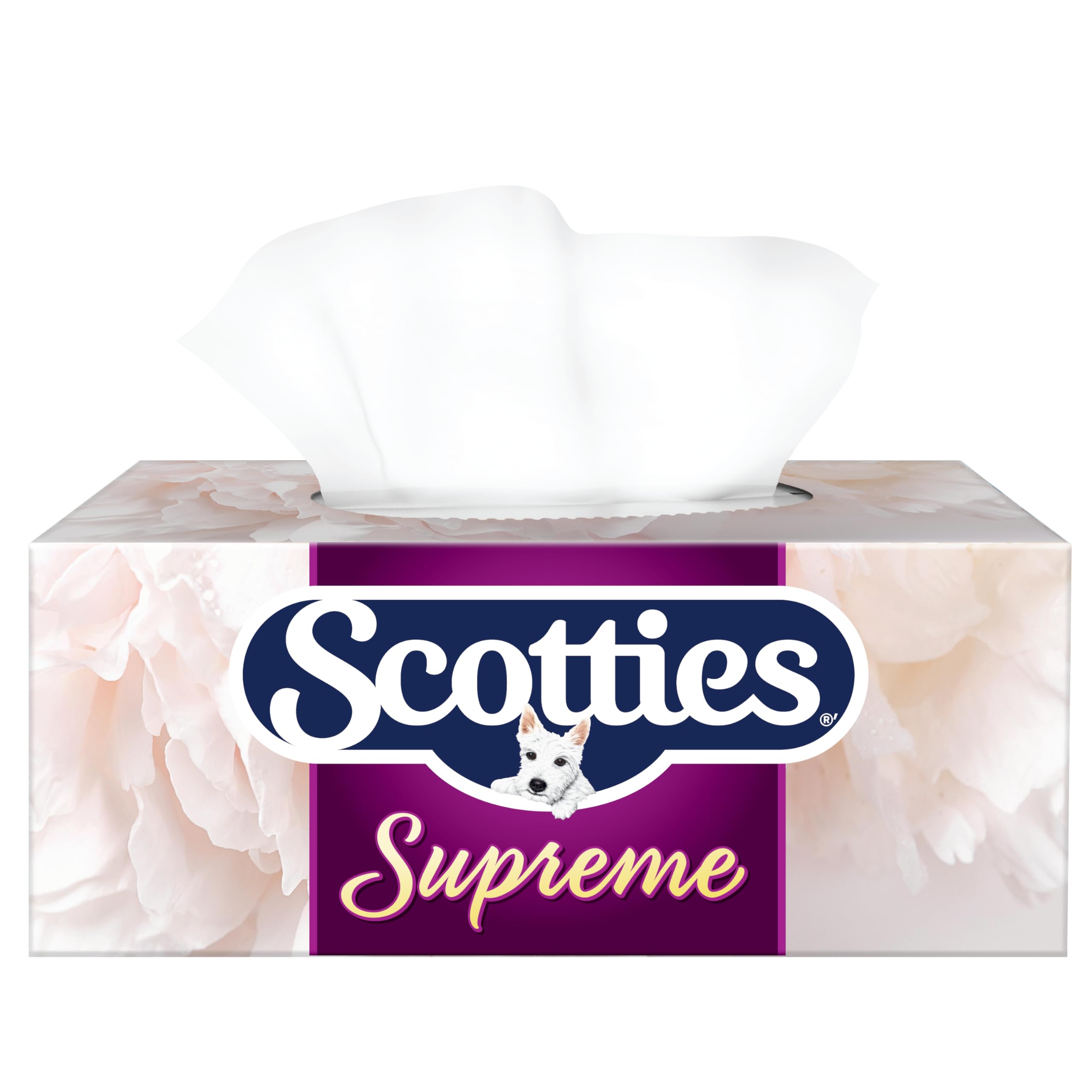 Scotties Scotties Supreme 3 Ply Soft & Strong Facial Tissue, Hypoallergenic and Dermatologist Tested, 6 Boxes, 81 Tissues per Box in use