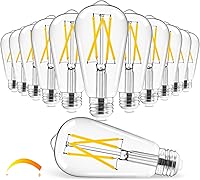 Hizashi Vintage Dimmable LED Edison Bulbs 6W=60W E26 Soft White 3000K, 700LM High CRI 95+ Eye Protection, Clear Glass Pack of 12