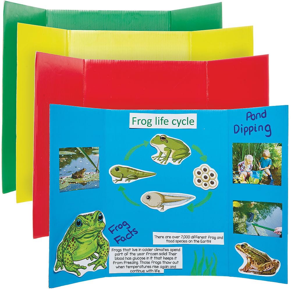 Baker Ross FN683 Small Coloured Presentation Boards – Pack of 4, Display Boards for Crafts, Presentations, Table Top Projects