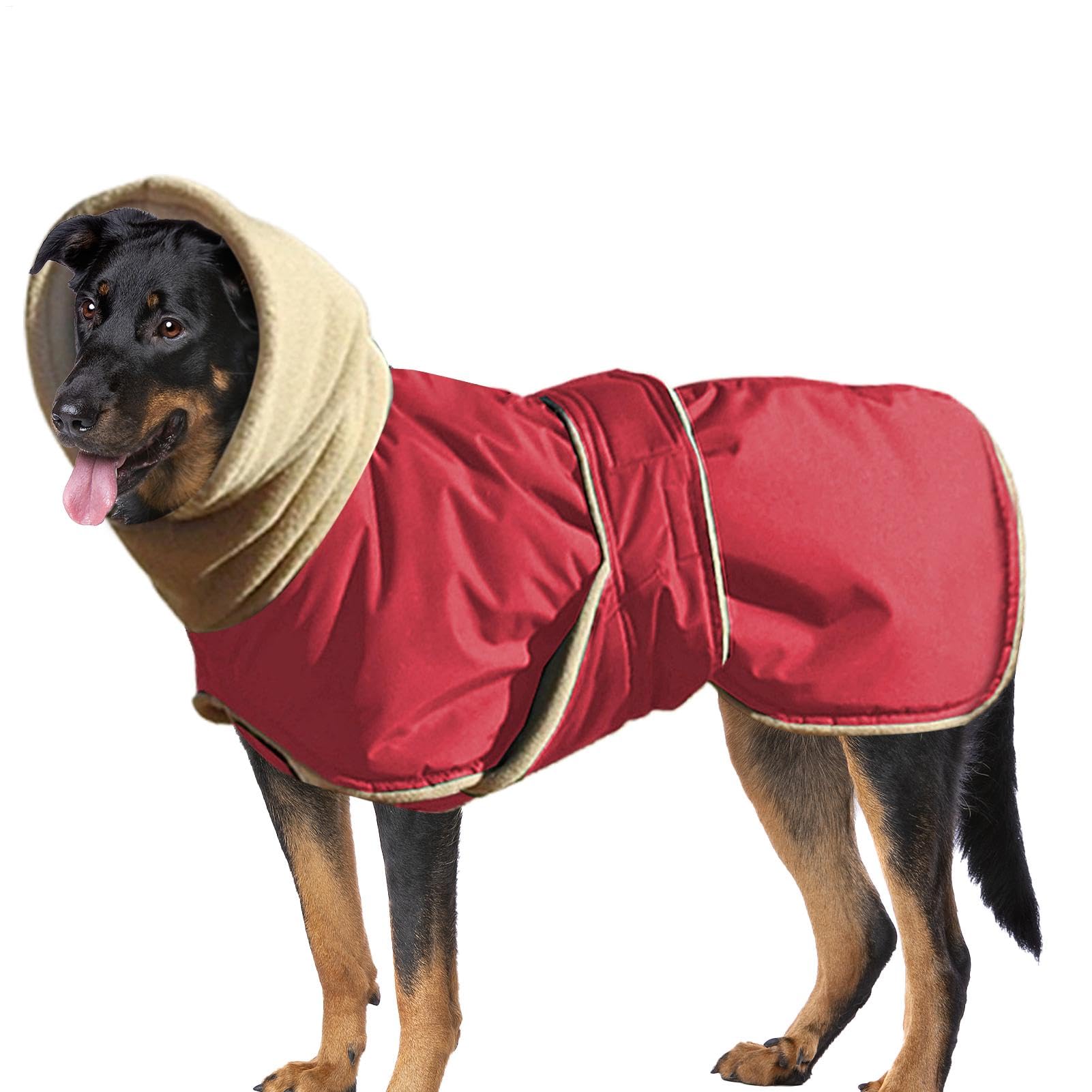 Tenue par temps froid pour chien avec veste imperméable et manteau col roulé