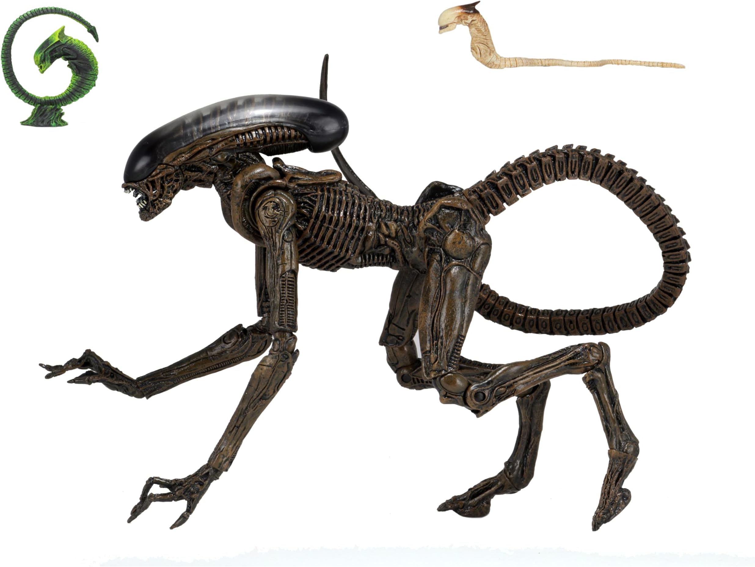 Alien 3 – Ultimate Dog Alien – 7” Scale Action Figure