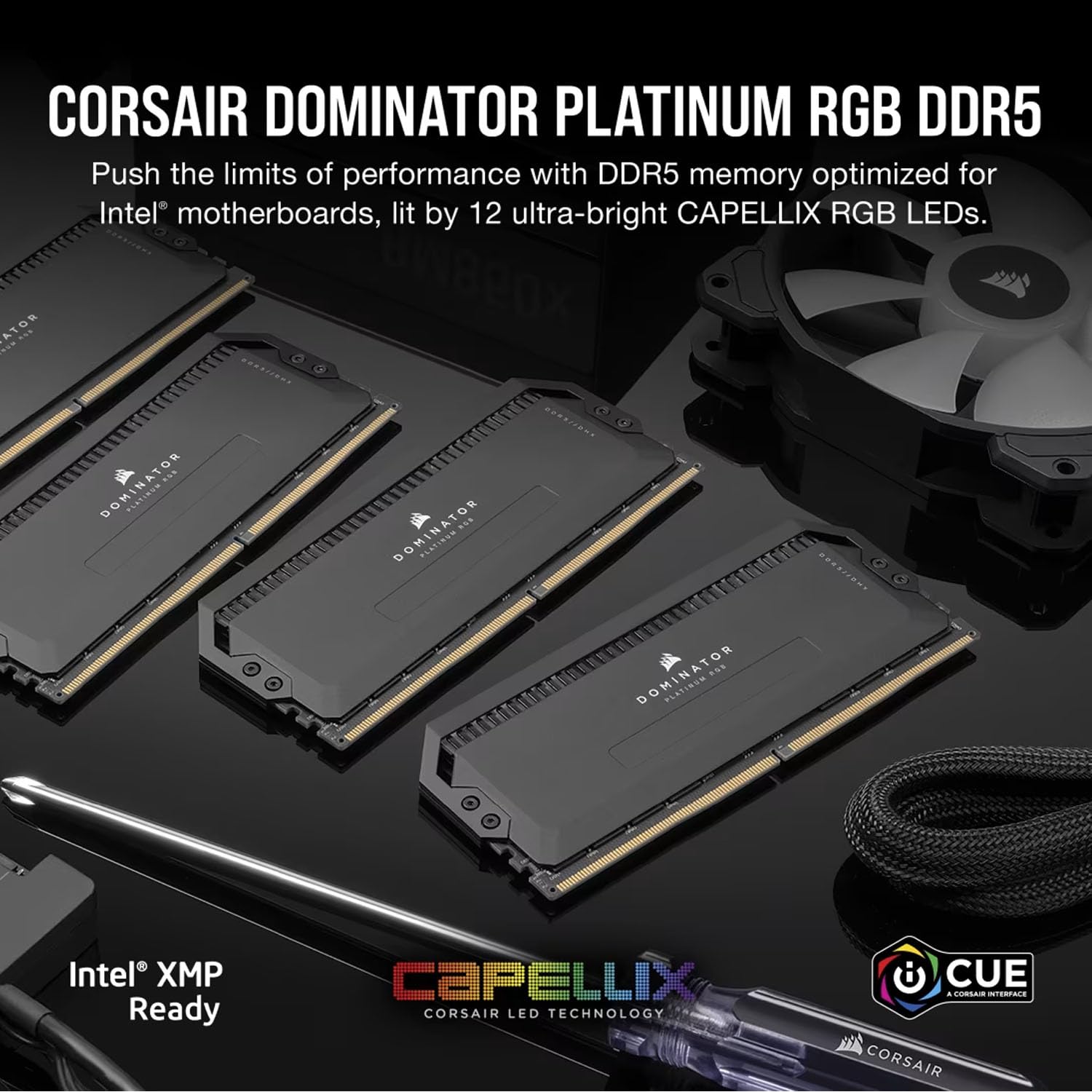 Amazon | CORSAIR DDR5-6000MHz デスクトップPC用メモリ DOMINATOR