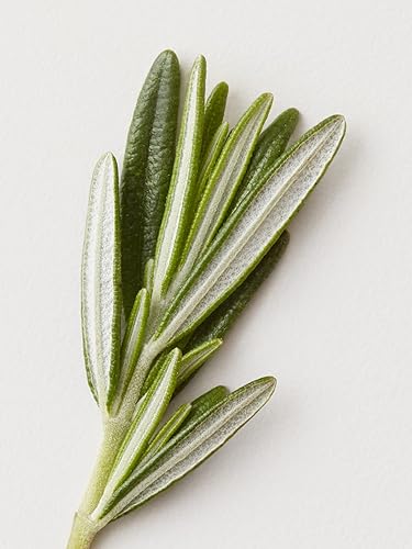 Miniatura 5 de AG Care Pasta de arcilla mate de estuco