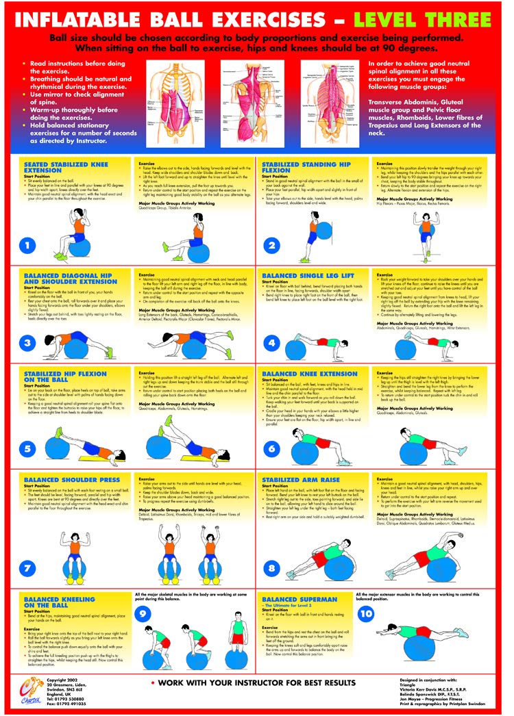 Gym Ball Exercise Chart Series (B2 Laminated, Level 3)
