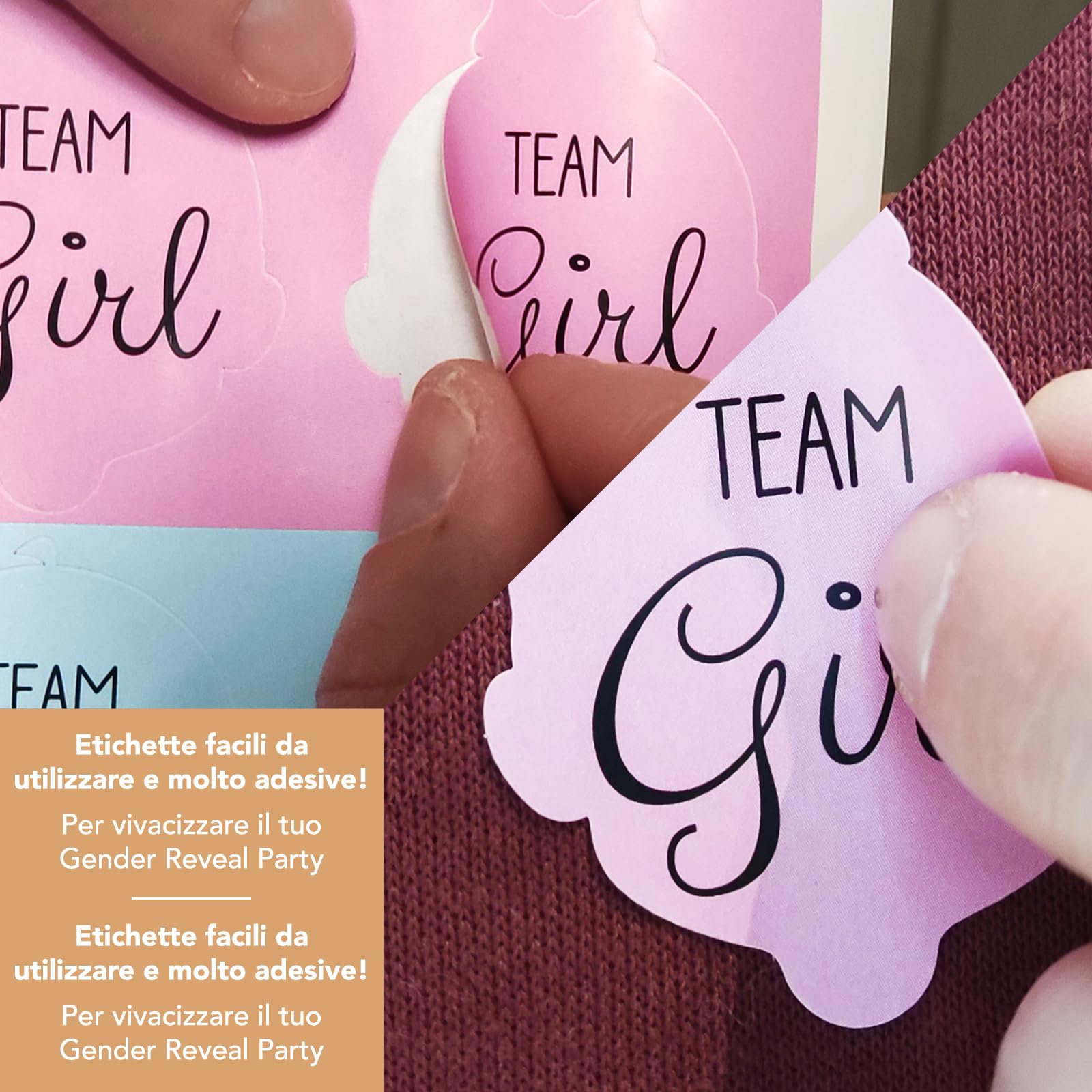 80 Autocollants Gender Reveal - Team Boy & Girl En Forme D'Ours | Pour Fête Naissance, Baby Shower | 48x51mm