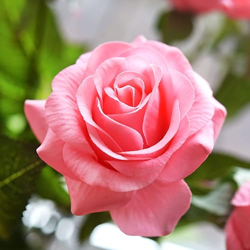 Miniatura 61 de FiveSeasonStuff 12 tallos de flores artificiales, rosas de seda de tacto real para decoración de bodas, ramos de novia, centros de mesa, fiestas y 9