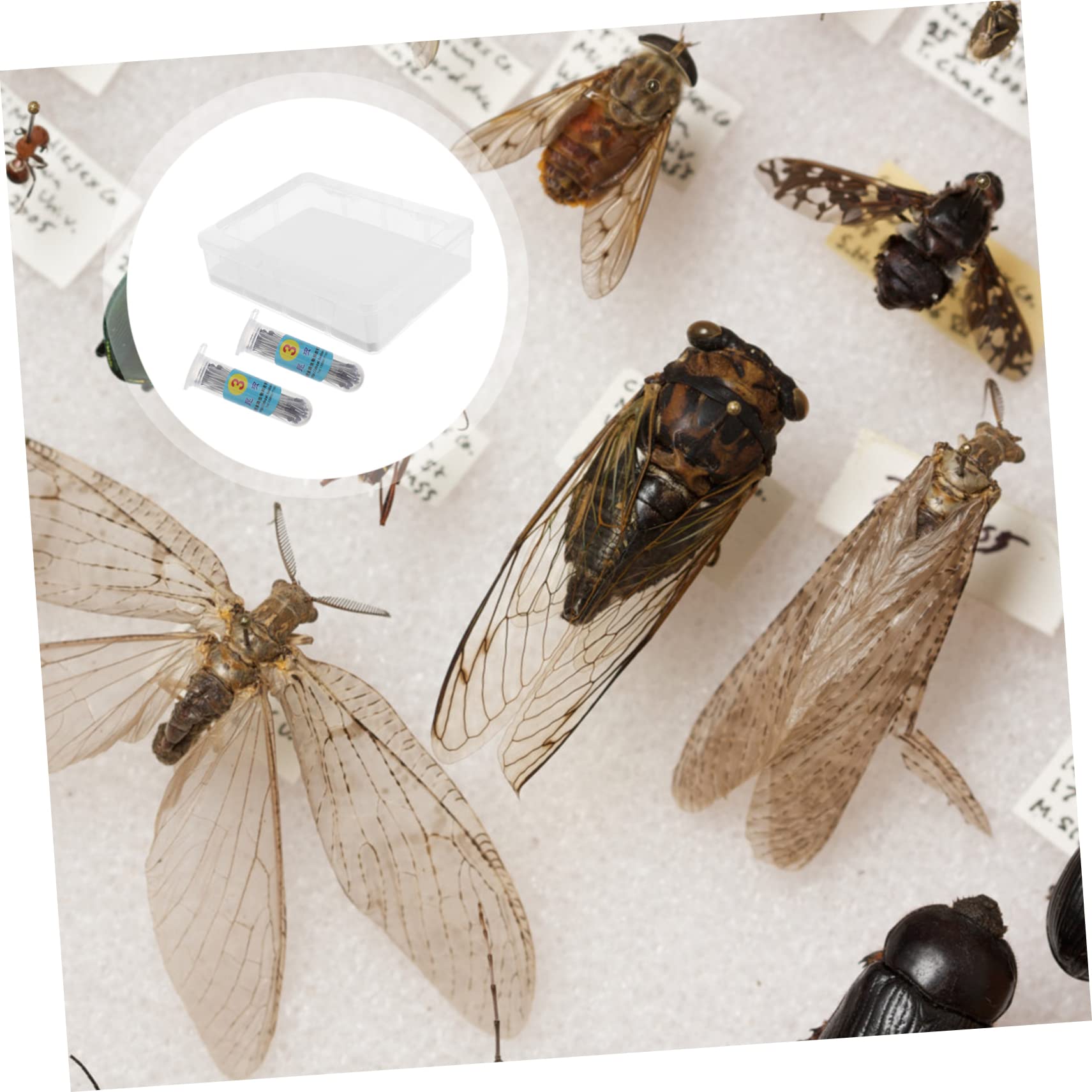 FELTECHELECTR 1 Set Box Crystal Specimen Box Pinning Kit Exhibit Case Insect Cage Plant Kit Specimen Display Case Beetle Display Log Cabin Miniature Entomology Display Case Transparent Plastic