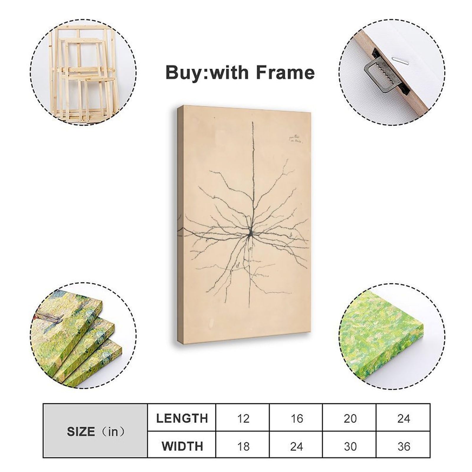 GIEIG Pyramida Neurona Dibujo de Santiago Ramón Y Cajal Póster para Estética de Habitación Lienzo Arte de Pared Marco de 12 x 18 pulgadas (30 x 45 cm)