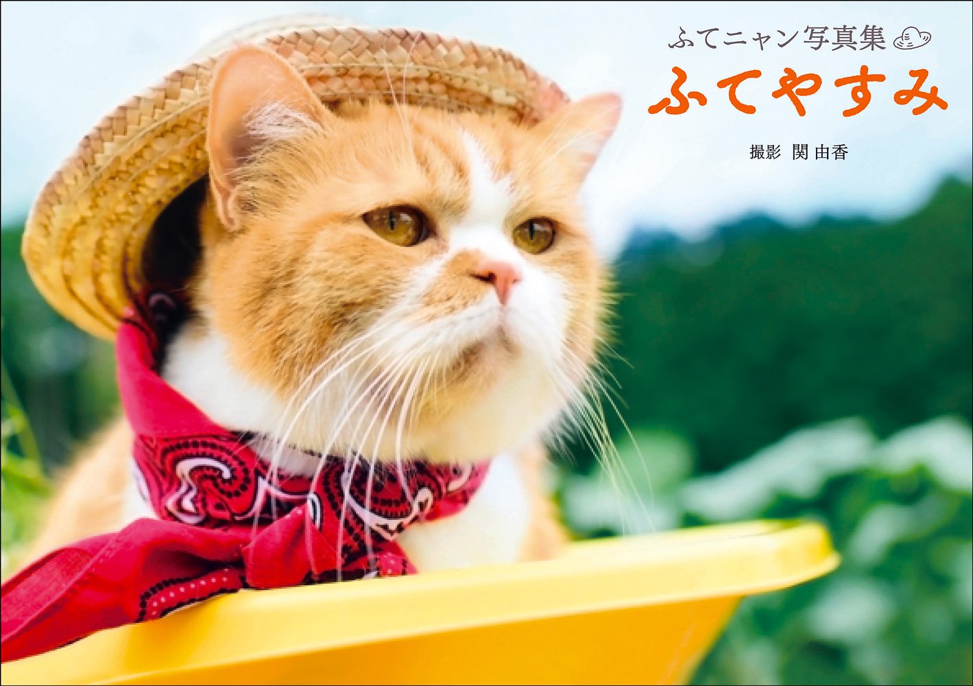 ふてニャン写真集 ふてやすみ 関 由香 本 通販 Amazon ふてニャン写真集 ふてやすみ 関 由香 本 通販 Amazon