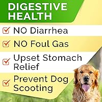 Vista 5 de StrellaLab Golosinas de probióticos para perros para comedores exigentes, enzimas digestivas + prebióticos, suplemento de fibra masticable, alergia