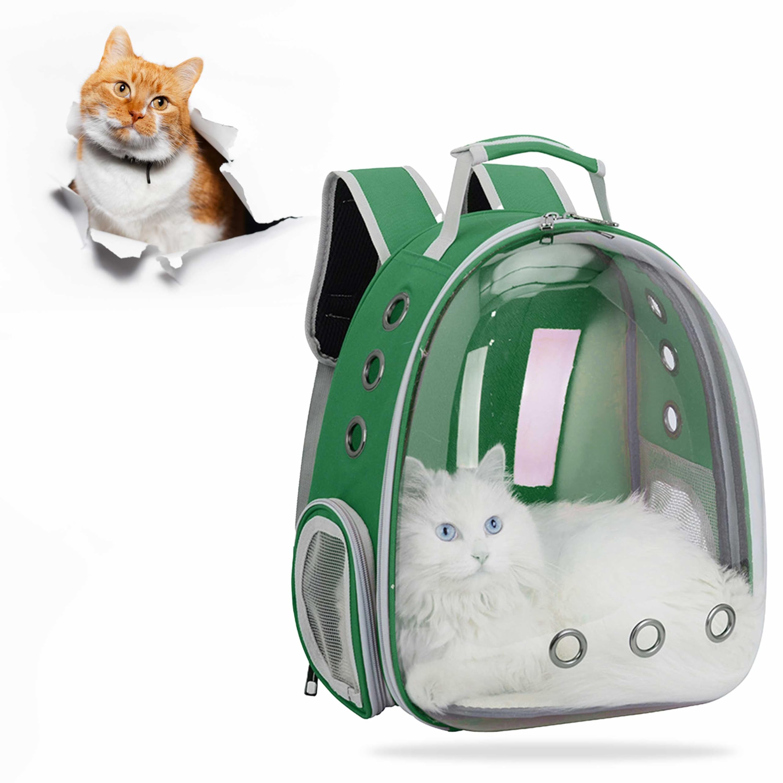 Kraptick Astronaut Transparent Pet Carrier Backpack for Travelling, Hiking, Designed with Breathable Space for Ventilation and Airline-Approved Backpack for Puppies & Cats (Green) (B0C49NBCCS) Amazon Price History, Amazon Price Tracker