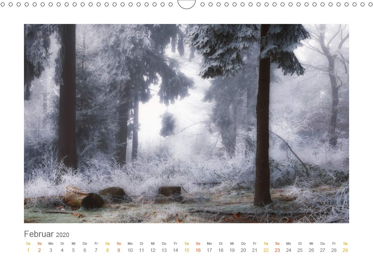 Im Märchenwald des Untertaunus (Wandkalender 2020 DIN A3 quer): Monatskalender, 14 Seiten, farbig (Monatskalender, 14 Seiten ) (CALVENDO Natur)