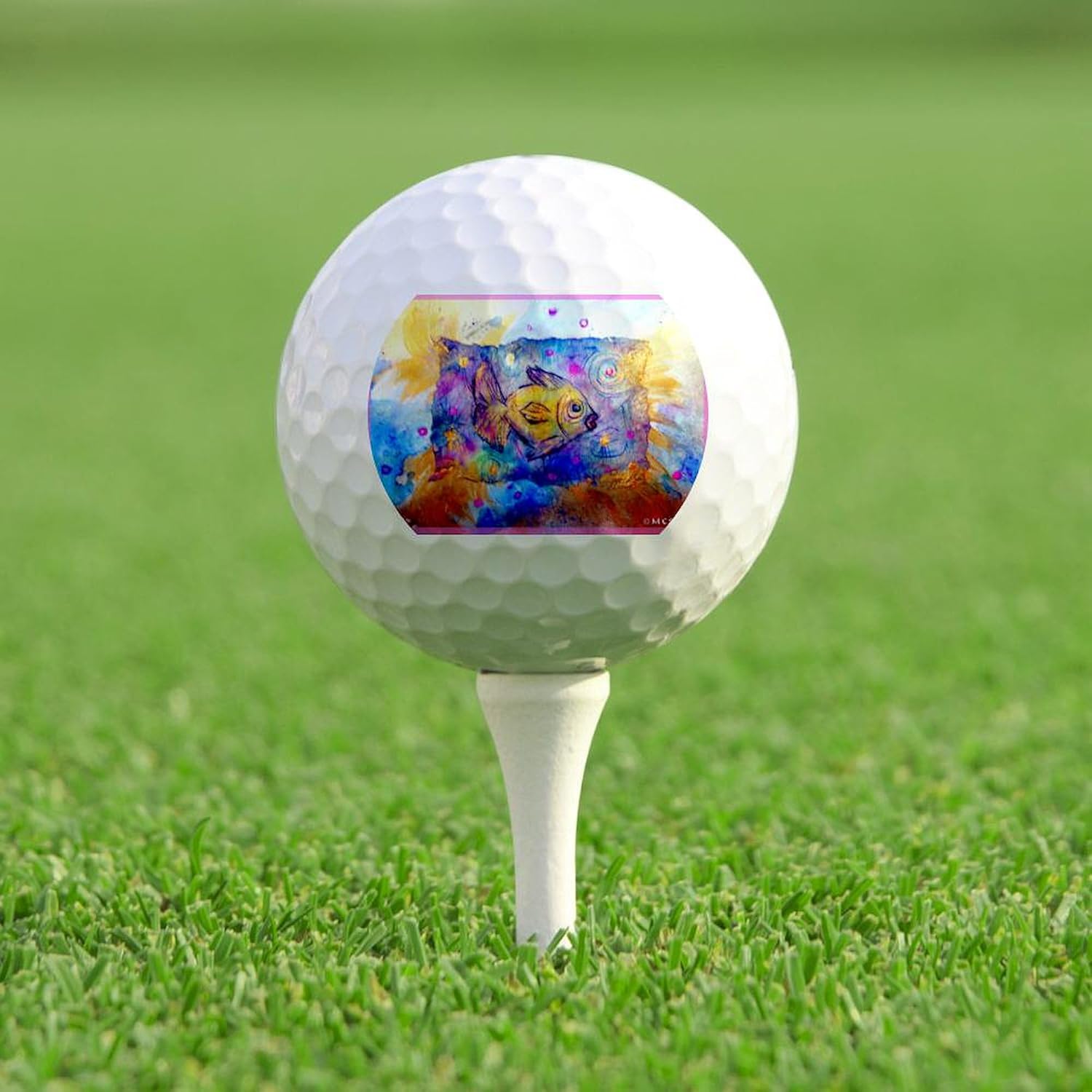 CafePress Fish, Colorful, Art Novelty Golf Balls (Pk of 12)