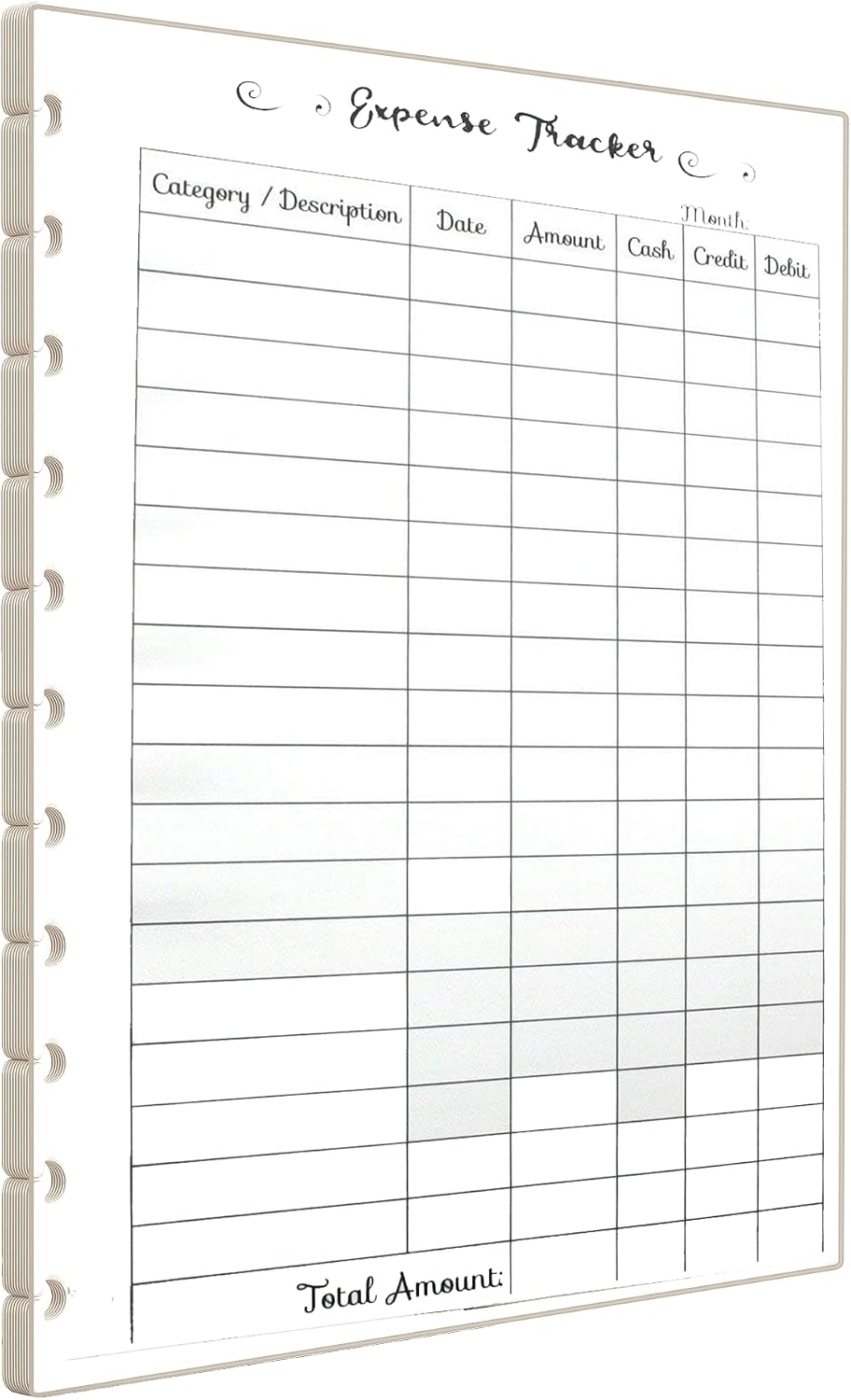 Expense Tracker Inserts for Discbound Planners, Fits with Circa Letter, Arc by Staples, TUL, Letter Size (8.5'' x 11''), (Planner sold separately), Budget Planner