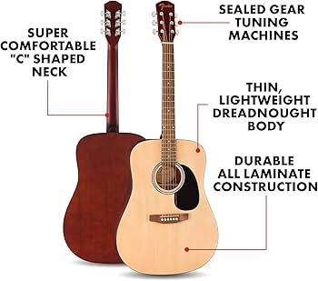 Amazon.co.jp: フェンダーオルタナティブシリーズ ドレッドノート