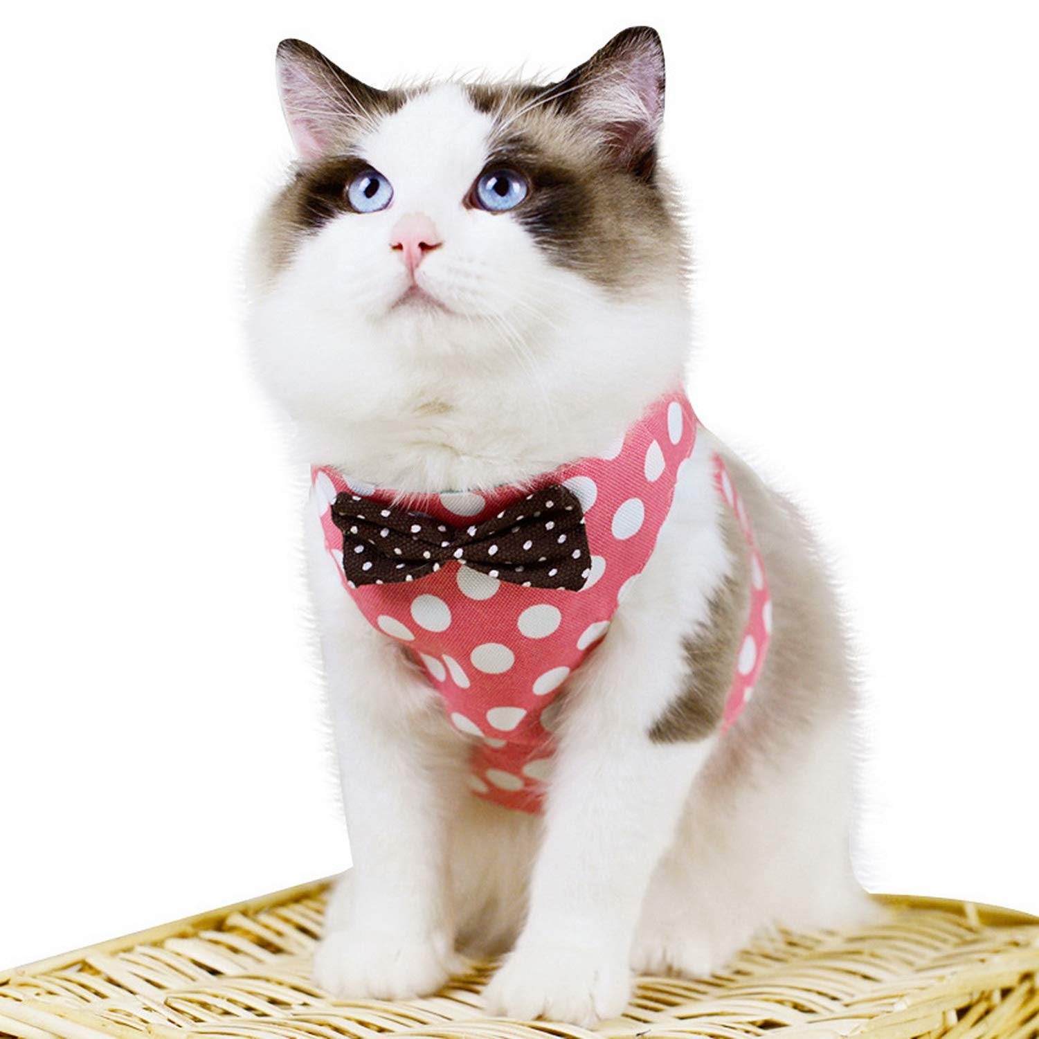 Amazon | ZUNEA 犬 猫用 ハーネス リードセット おしゃれ かわいい 犬