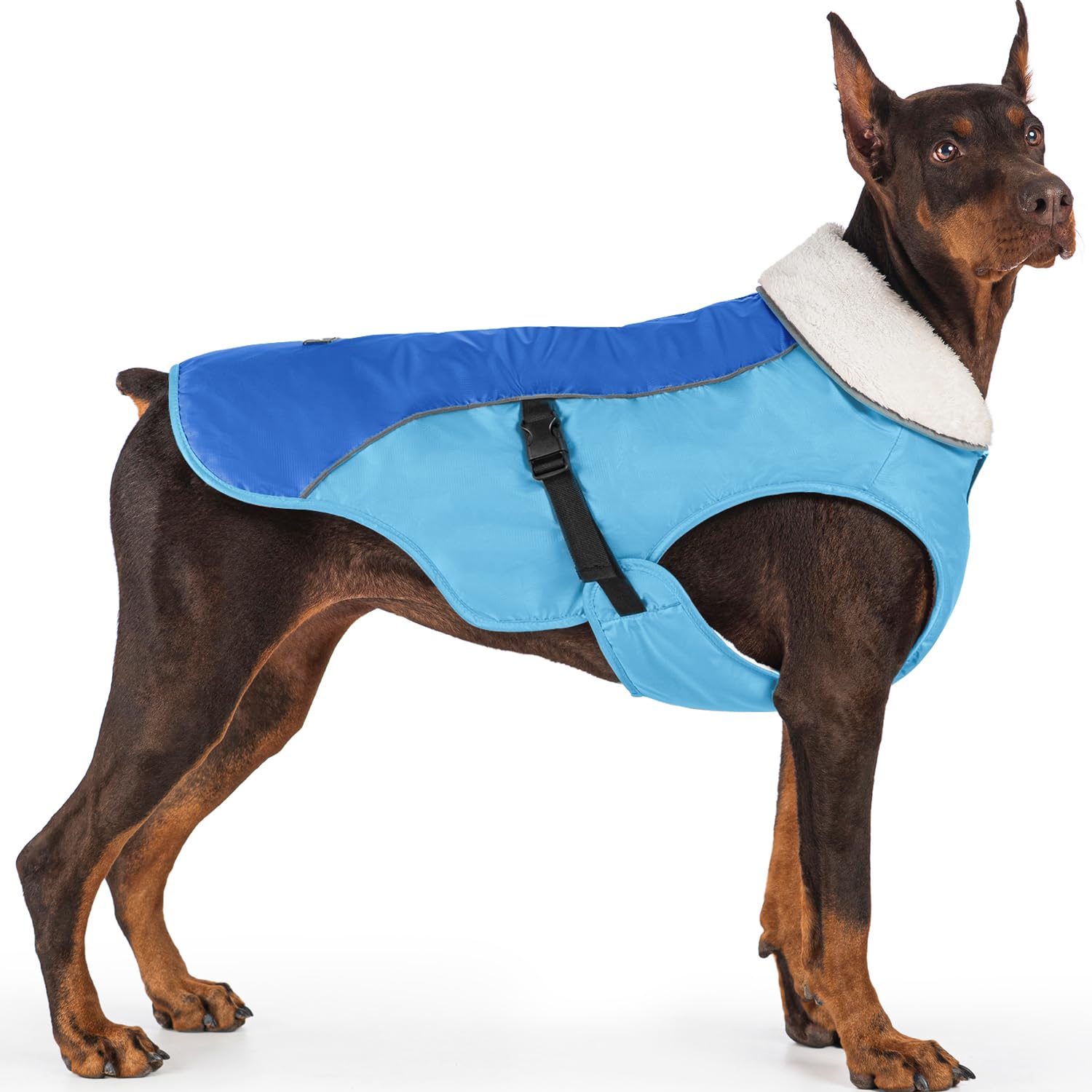 Manteau pour chien EMUST évite les tremblements liés au froid veste S
