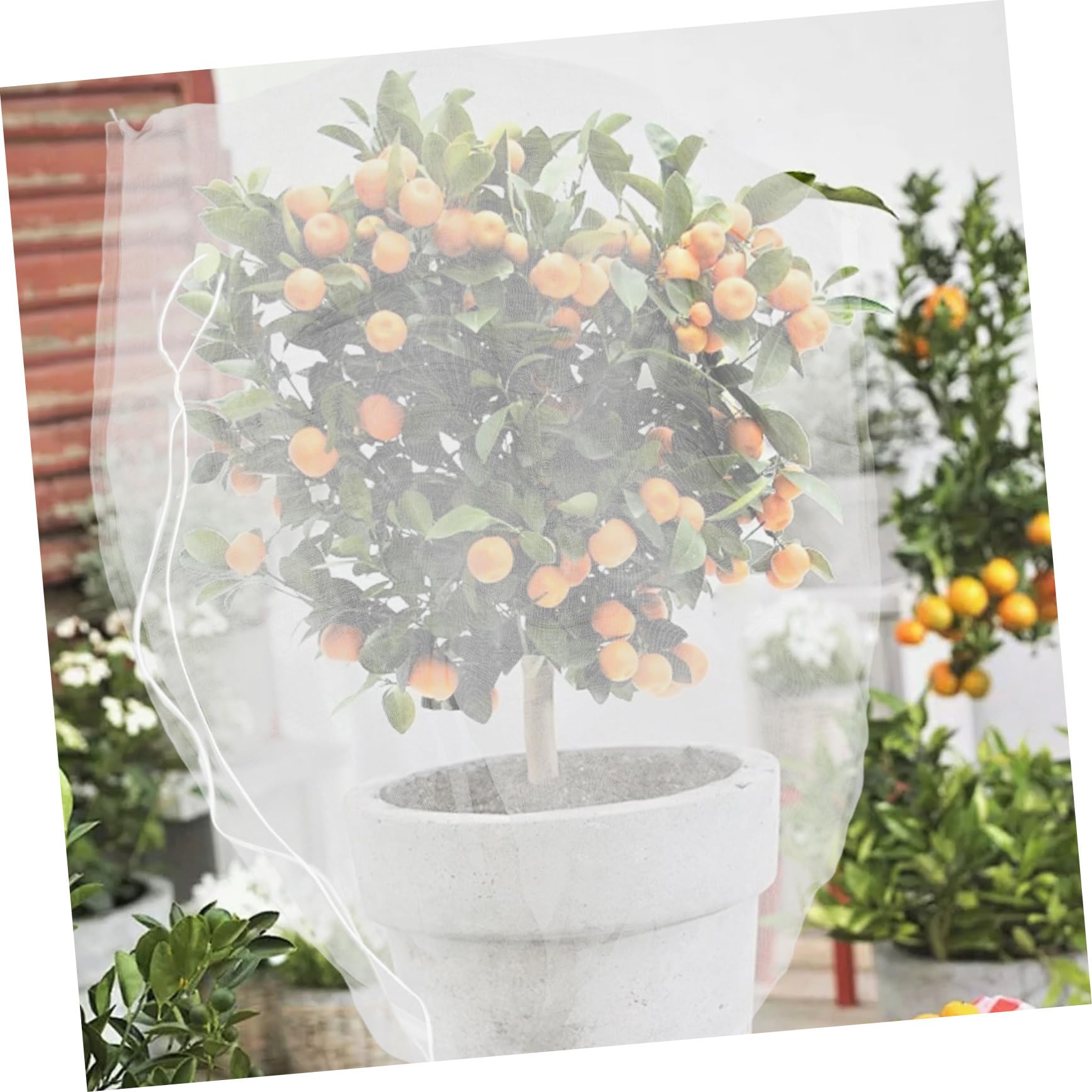 Red Protectora de Malla para Frutas, 8 Piezas de Nailon Blanco | Cierre Doble Seguro, Diseño Reutilizable, para Huerto y Jardinería, Cobertura Fina para Melocotones