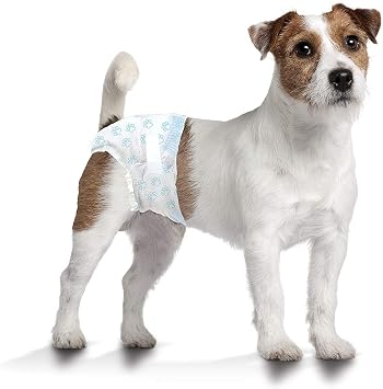 Four Paws Wee-Wee Super Absorbent Disposable Adjustable Dog Potty Training Diapers, Leak-Proof Protection for Dogs, Size Small, 12 - 15 Waist, 36 Count