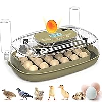Vista 1 de Incubadora de 24 huevos con giro automático, control de temperatura y humedad, vela LED para huevos y adición automática de agua, para incubar
