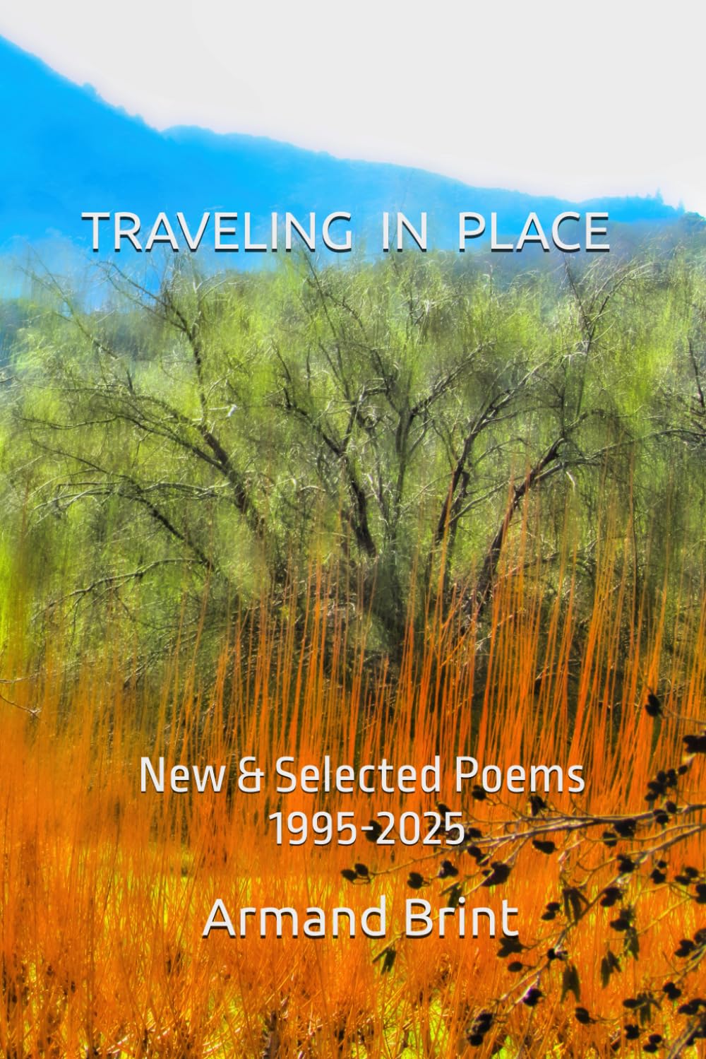 Traveling in Place: New & Selected Poems 1995-2025      Paperback – December 1, 2025