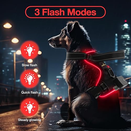 Miniatura 2 de MASBRILL Arnés para perro con luz LED, sin tirones, recargable y ajustable, para perros pequeños, medianos y grandes