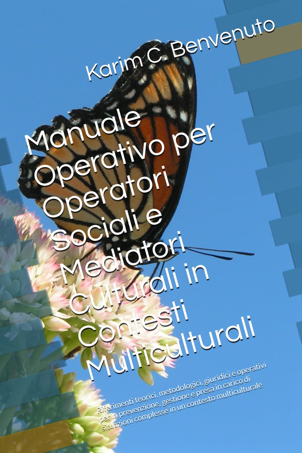 Manuale Operativo per Operatori Sociali e Mediatori Culturali in Contesti Multiculturali: Riferimenti teorici, metodologici, giuridici e operativi per ... complesse in un contesto multiculturale