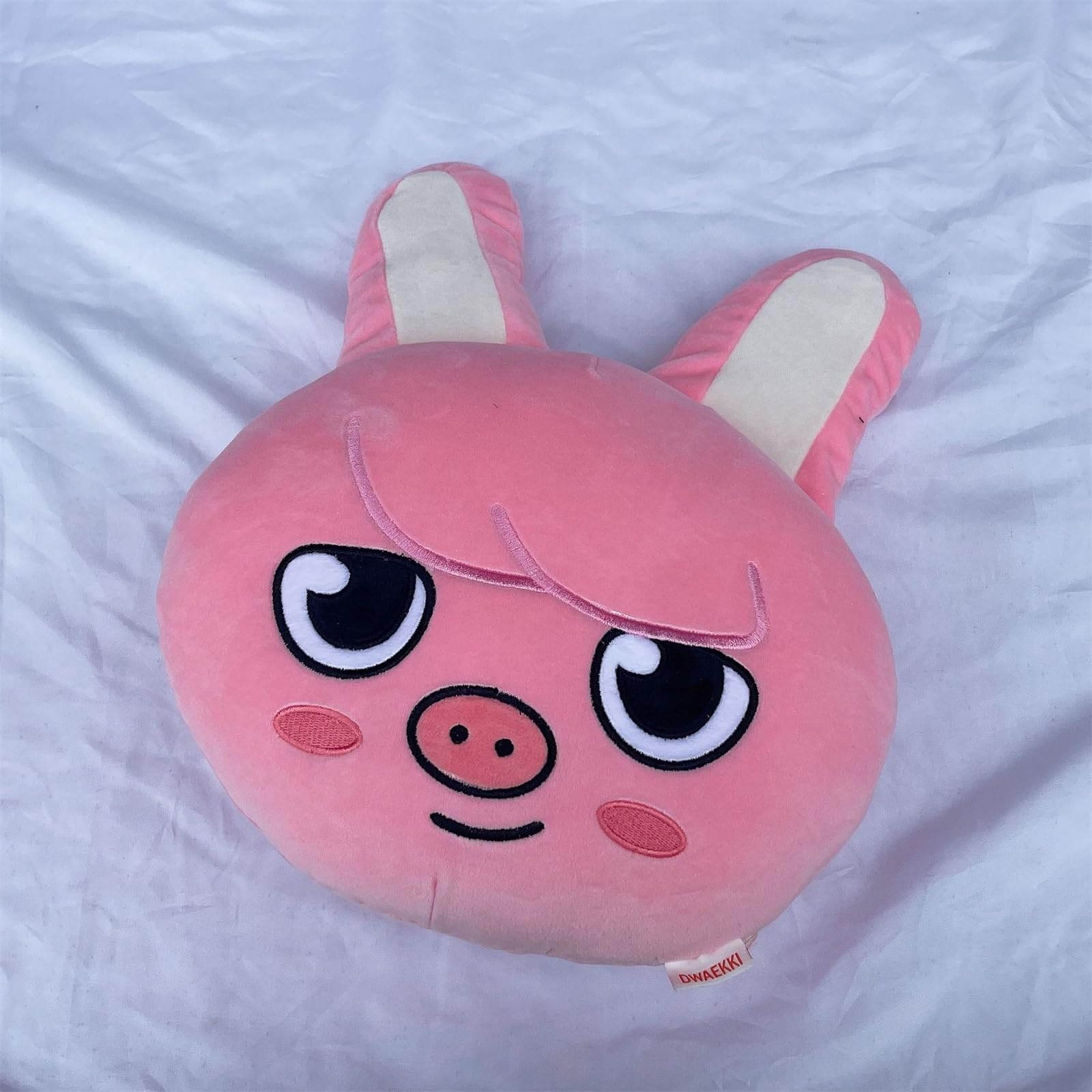 Amazon.com: FATKAKI 30cm Kpop Stray Kids Pillow Case Skzoo Limited 
