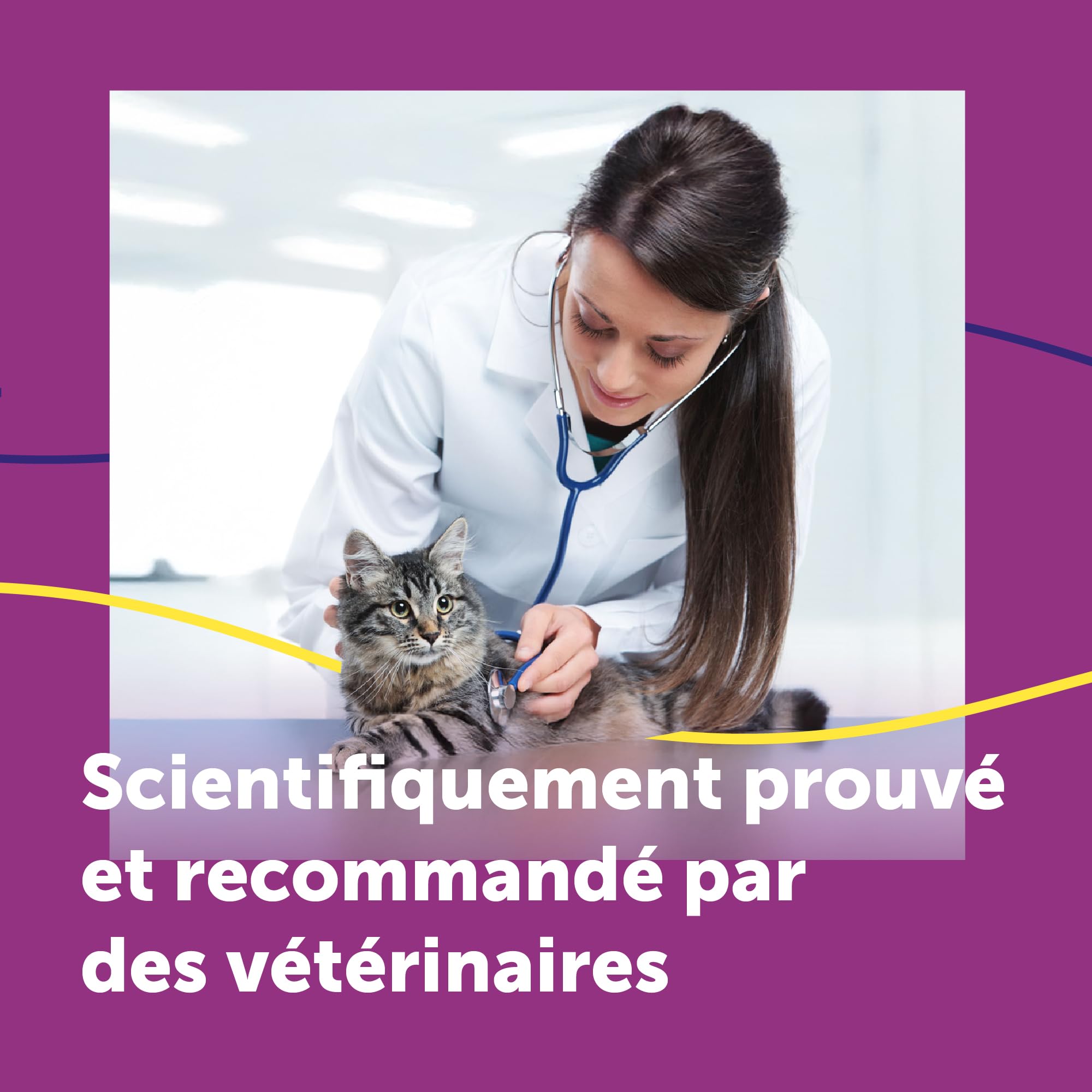 FELIWAY Help! Diffuseur + Recharge de phéromones apaisantes pour Chats (durée de 7 Jours). Aide à Calmer Votre Chat Pendant Les Situations de Stress ponctuel. Recommandé par Les vétérinaires.