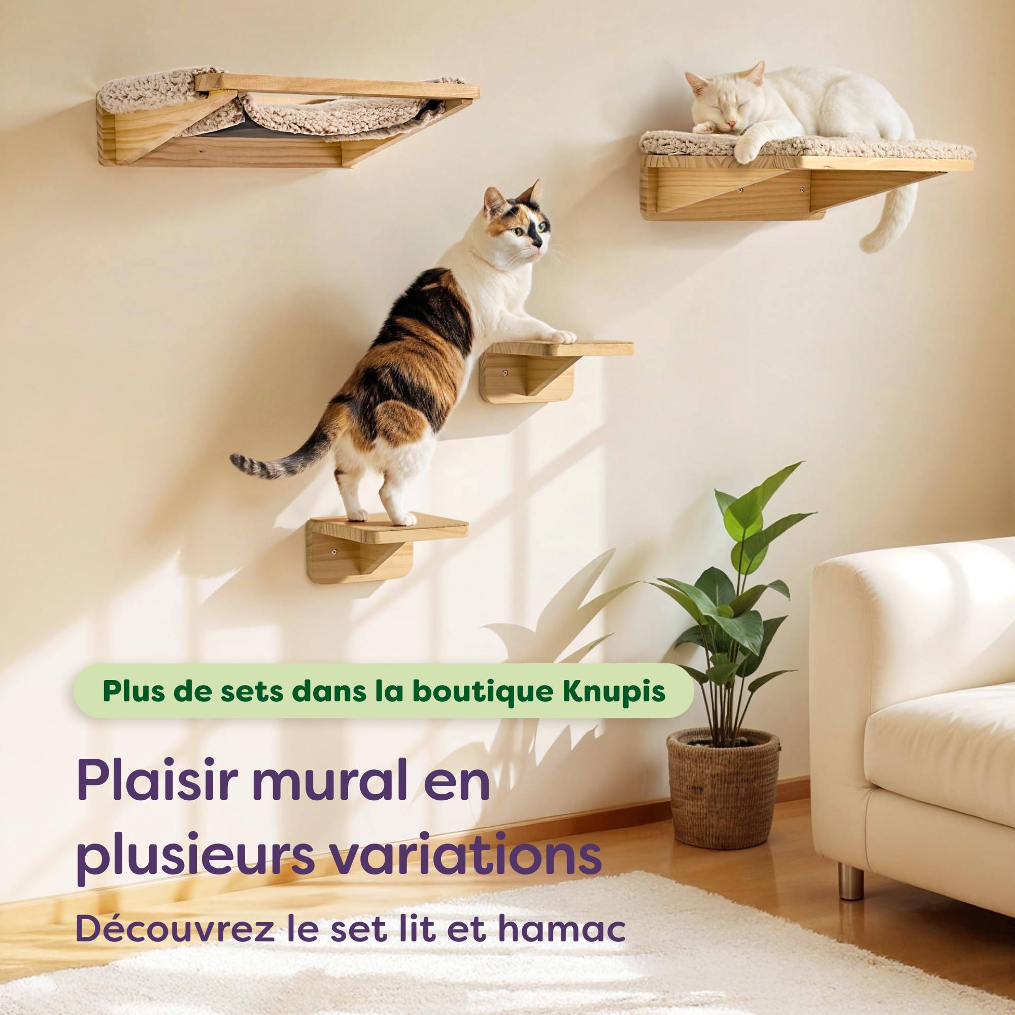 Knupis Mur d'escalade pour Chat Beige - 3 Escalier Mural pour Chat en Pin Fsc® - Non-tissé Antidérapant - Montage Facile - Charge Maximale Élevée Jusqu'à 30 Kg