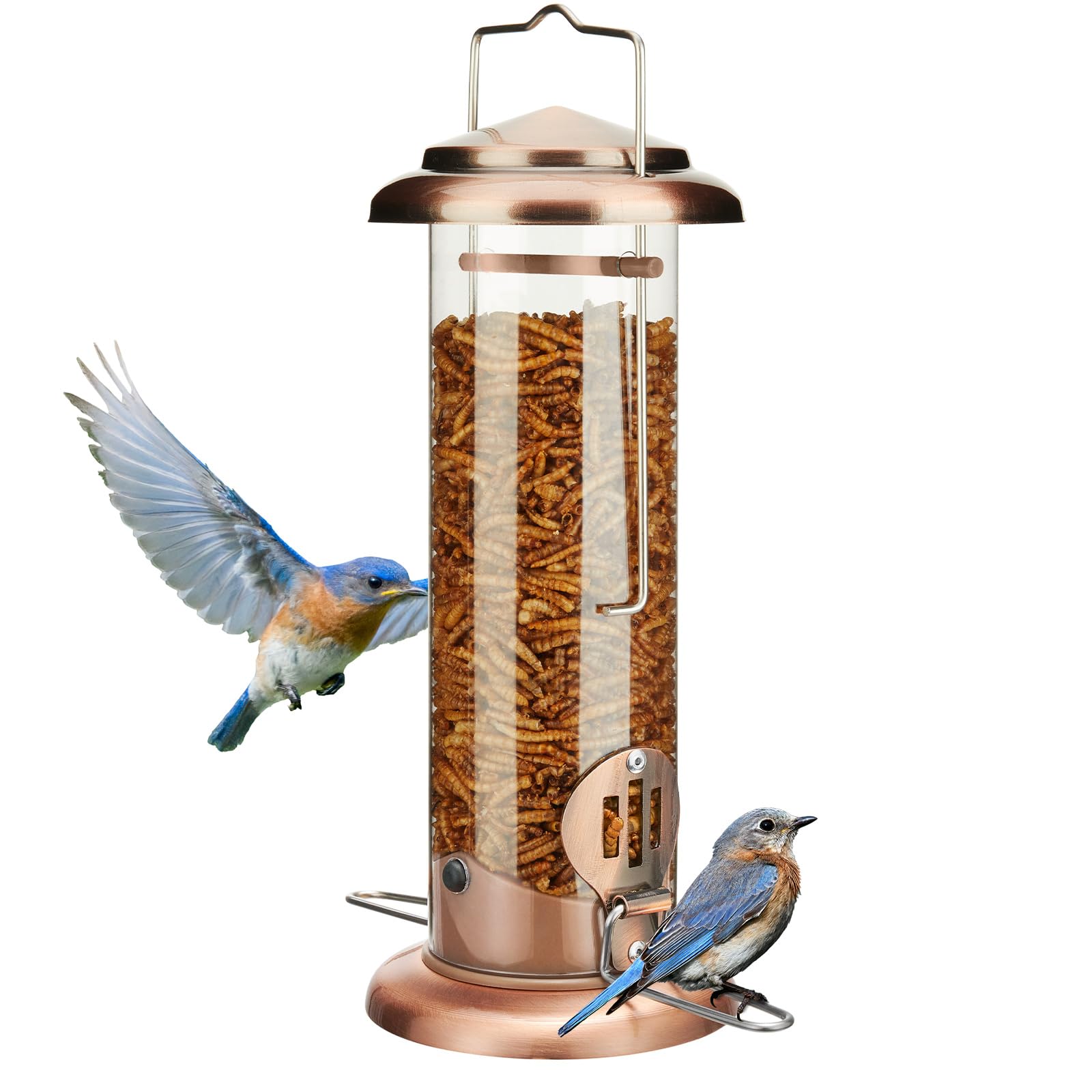 Kingsyard Upgraded Bluebird Tube Feeder