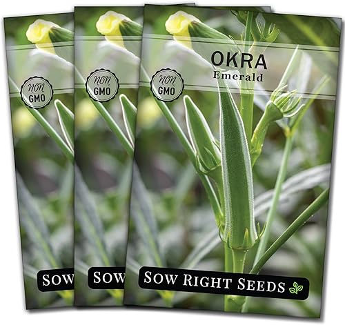 Sow Right Seeds - Semilla de Okra esmeralda para plantar - Paquete de reliquia sin OMG con instrucciones para plantar un huerto casero - Gran regalo