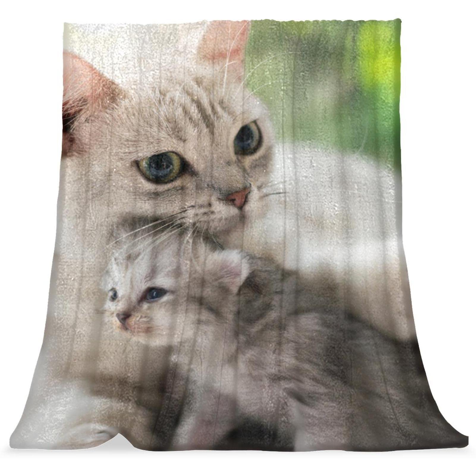 Couverture de sieste à motif de deux chats, plaid en peluche pour cadeau