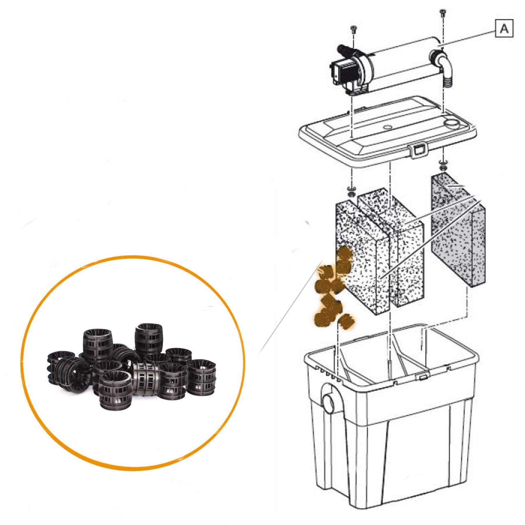 View 2