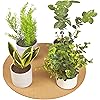 Product Photo 7