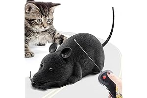 Aerbee Remote Control Rat Toy