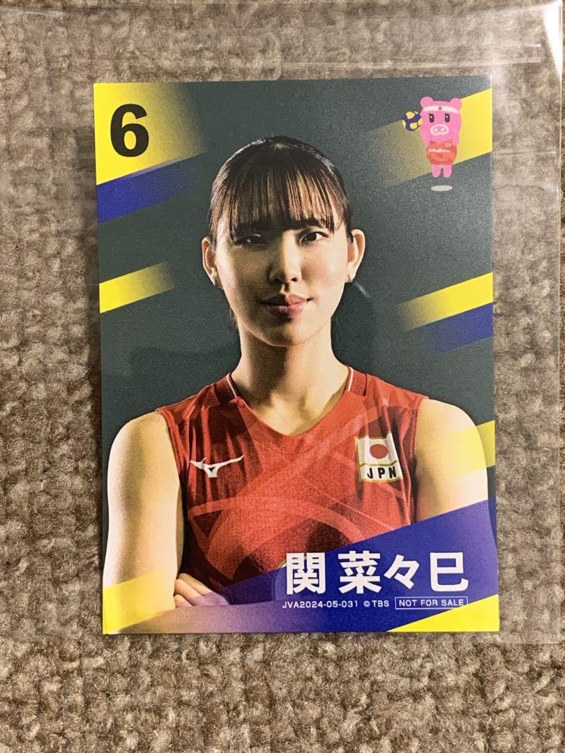 関菜々巳 サイン入り 生写真 女子バレーボール 女バレ くじプラ 関菜々巳 サイン入り 生写真 女子バレーボール 女バレ くじプラ 関菜々