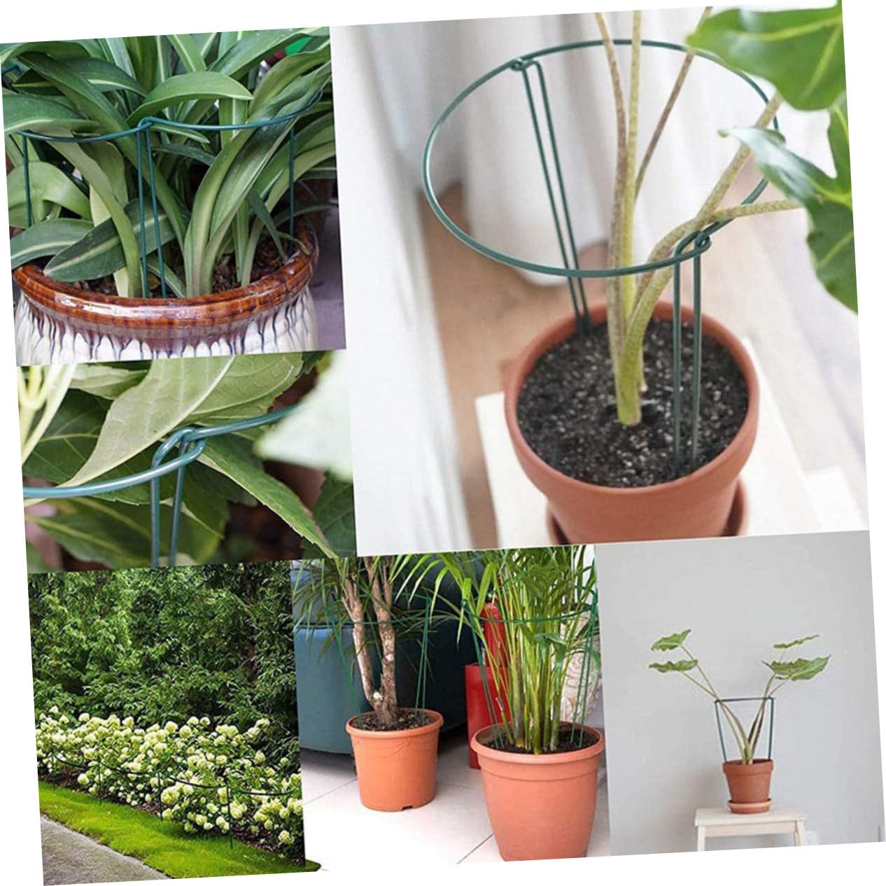 Lot de 6 Tuteurs pour Plantes en Fer Vert, Demi-Rond, Réutilisables, pour Guider Les Tiges et Soutenir Les Plantes Grimpantes au Jardin