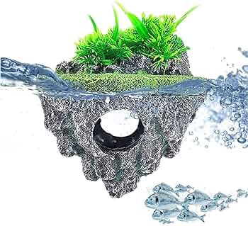 71Zizg3XtvL._AC_UF350,