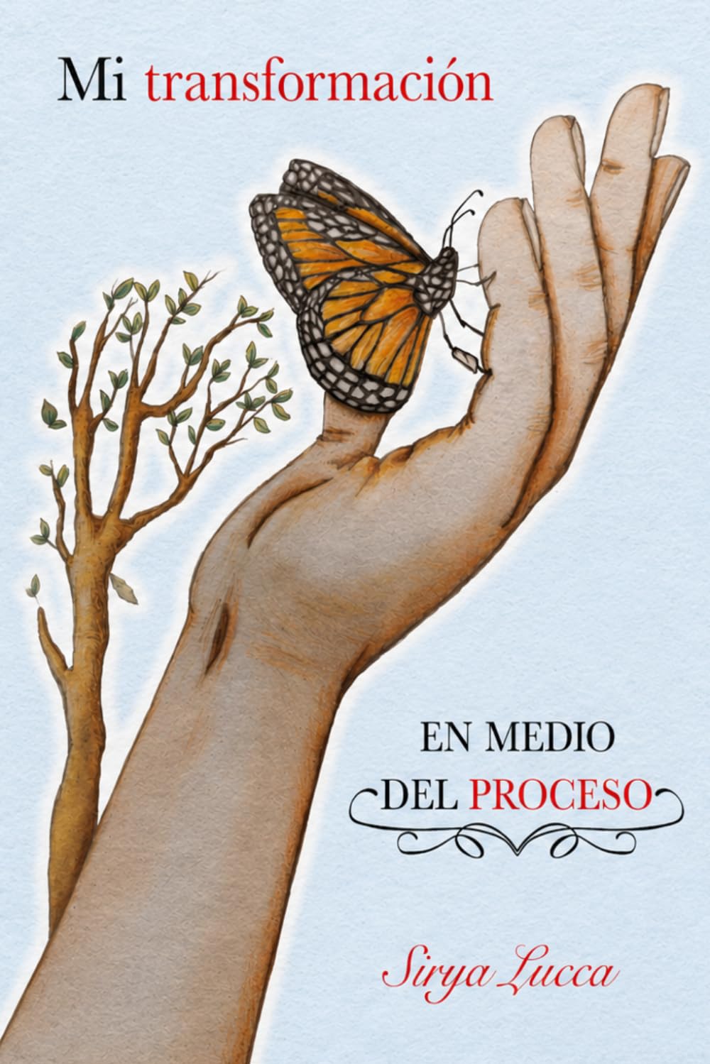 Mi transformación EN MEDIO DEL PROCESO