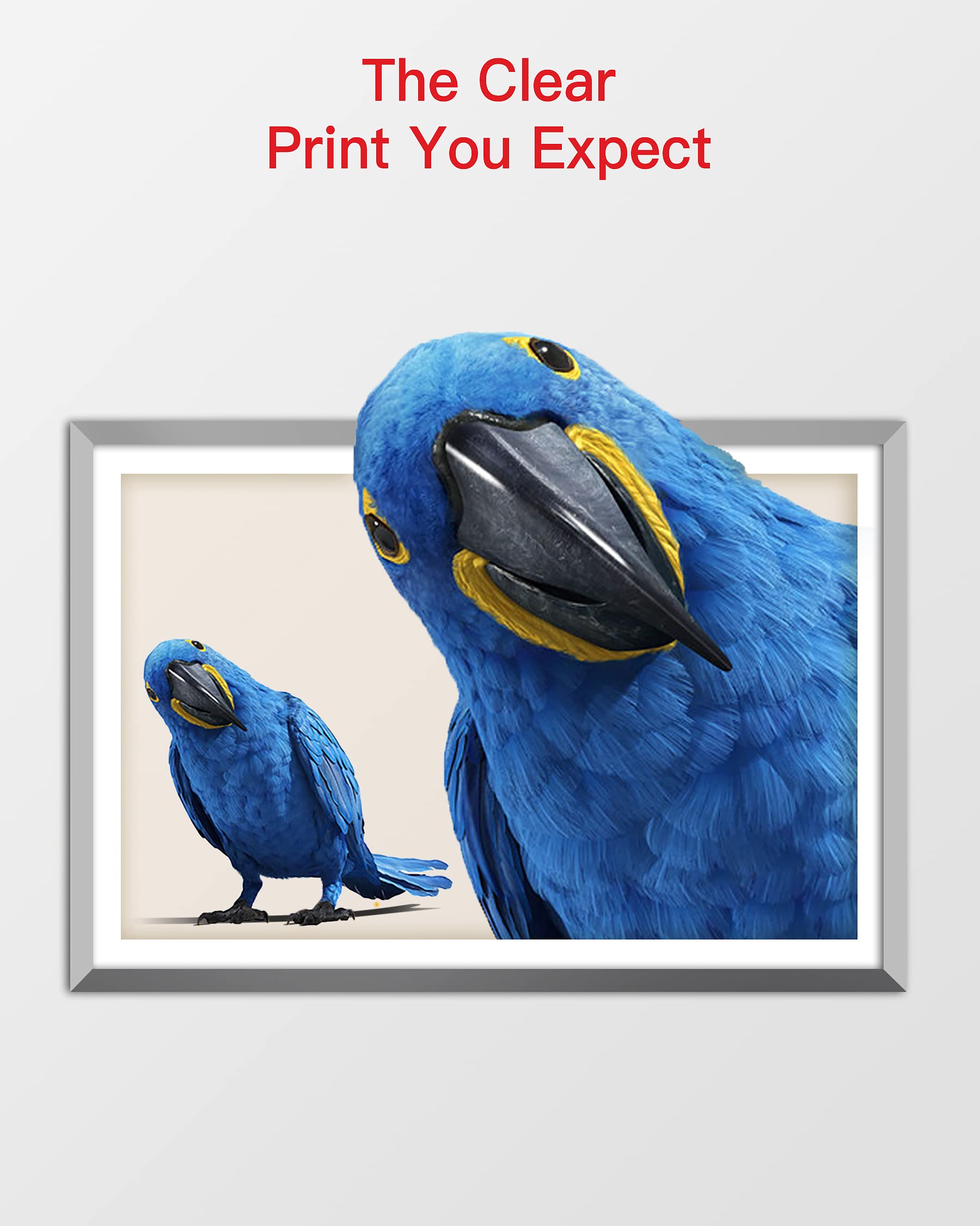 GPC Image Remanufactured Ink Cartridge Replacement for Canon PG-210XL 210XL CL-211XL 211XL compatible with PIXMA MP240 MP230 MP480 IP2702 IP2700 MP495 MX420 MX330 MX340 Printer Tray (Black, Tri-Color)